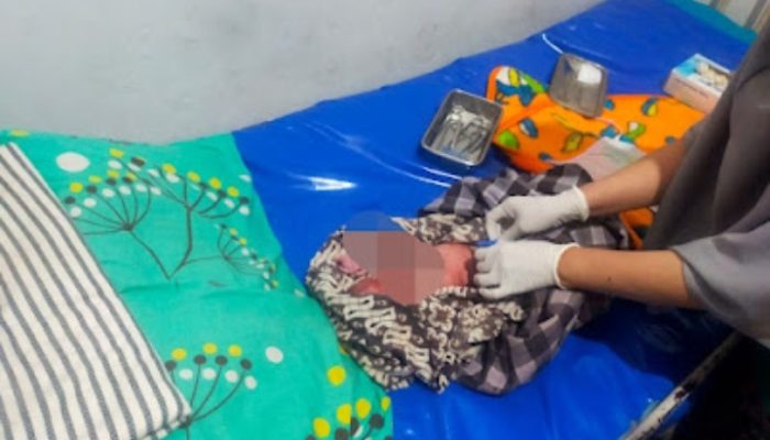 Geger, Warga Walahir Cikarang Utara Temukan Bayi Diduga Baru Lahir di Semak-Semak
