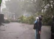 Jalan Raya Bandung Cianjur Sempat Tersendat Akibat Pohon Tumbang
