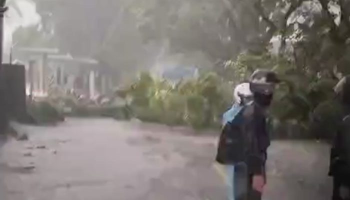 Jalan Raya Bandung Cianjur Sempat Tersendat Akibat Pohon Tumbang