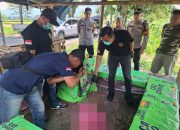 Penemuan Mayat di Jalan Pramuka, Karangtengah: Polisi Lakukan Olah TKP dan Autopsi