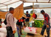 Polsek Cikarang Pusat Monitoring Panen Jagung Lahan Ketahanan Pangan Polda Metro Jaya
