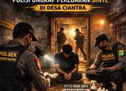 Di Balik Dinding Kontrakan, Racikan Terlarang Tumbuh Diam-Diam, Polisi Ungkap Peredaran Sinte di Desa Ciantra